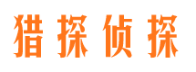 江川市侦探公司